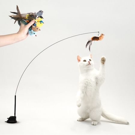 Jouet interactif pour chat – Oiseaux sur ressort